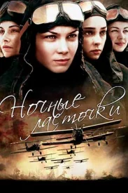 Ночные ласточки